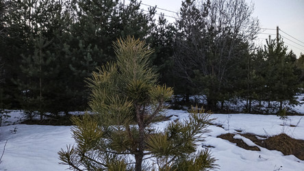 Similar image 22582154