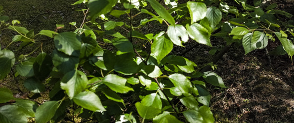 Similar image 22582156