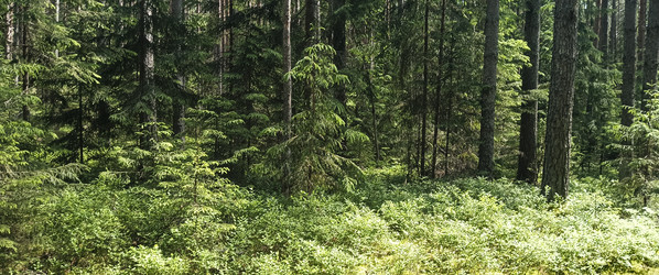 Similar image 22582157