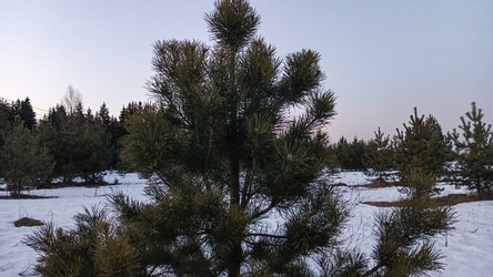 Similar image 22582158