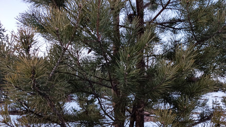 Similar image 22582168