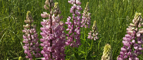 Similar image 22582169