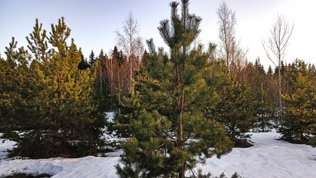 Similar image 22582170