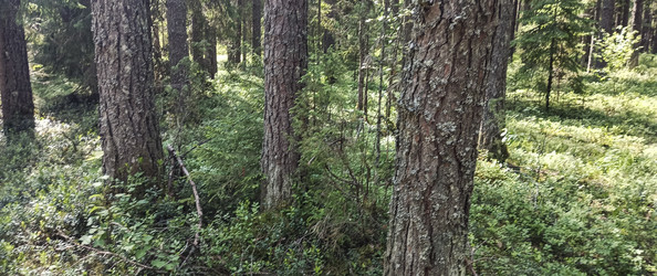 Similar image 22582171