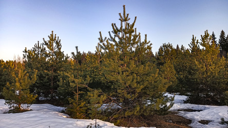 Similar image 22582172