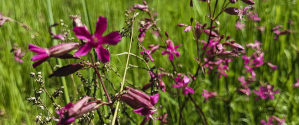 Similar image 22582173