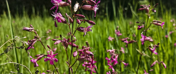 Similar image 22582174