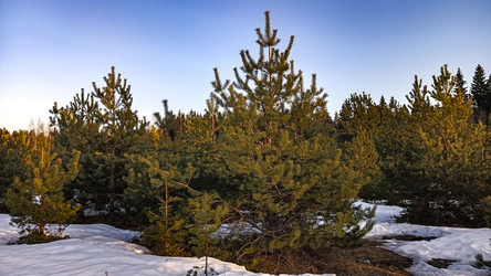 Similar image 22582175