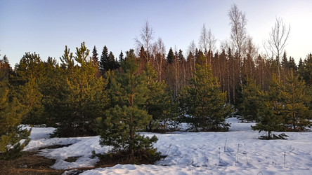 Similar image 22582176