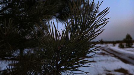 Similar image 22582177