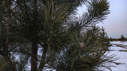 Similar image 22582178