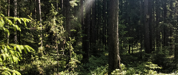 Similar image 22582179