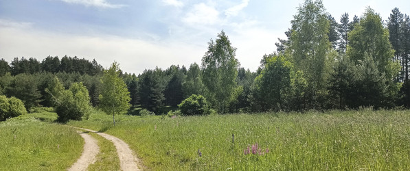 Similar image 22582180