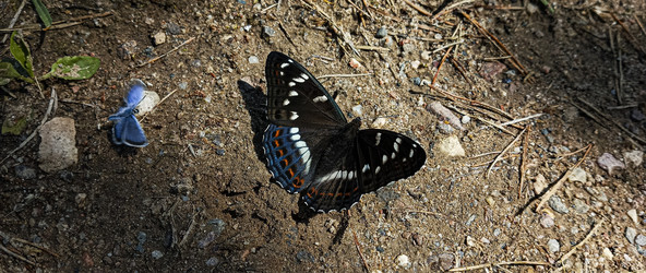 Similar image 22582181