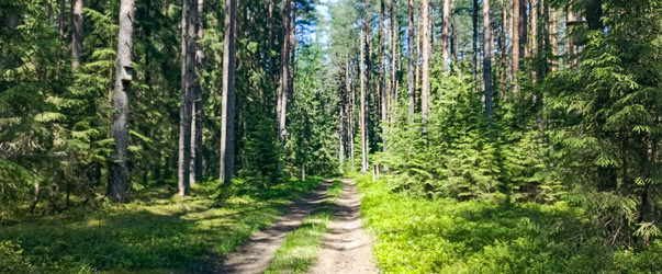 Similar image 22582182