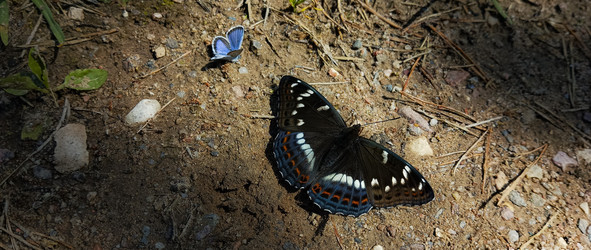 Similar image 22582183