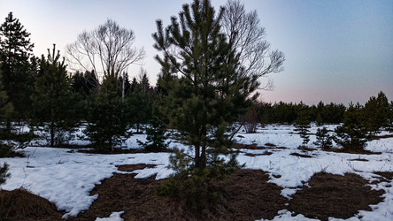 Similar image 22582184