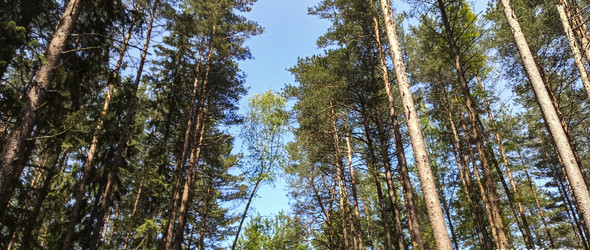 Similar image 22582185