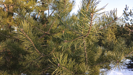 Similar image 22582186