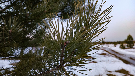 Similar image 22582187