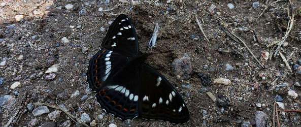 Similar image 22582188