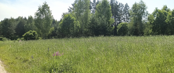 Similar image 22582189