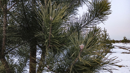 Similar image 22582190