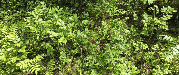 Similar image 22582192