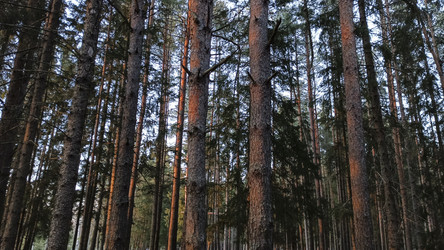 Similar image 22582194