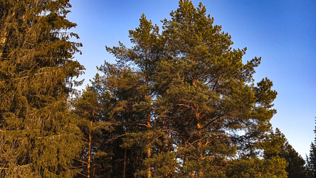 Similar image 22582195