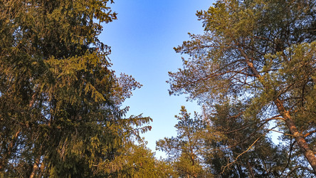 Similar image 22582196