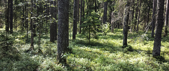 Similar image 22582197