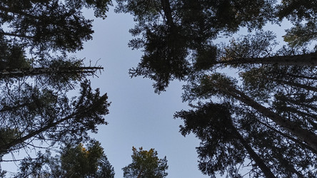 Similar image 22582198