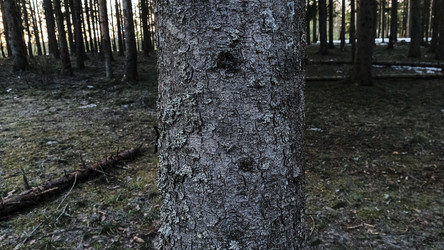 Similar image 22582199