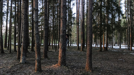 Similar image 22582200