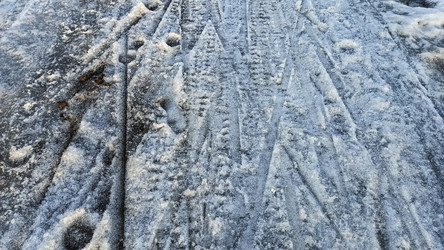 Similar image 22582202