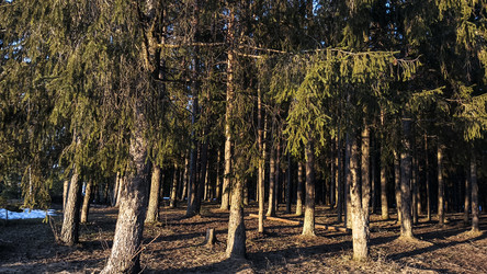 Similar image 22582203