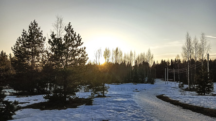 Similar image 22582204