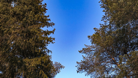 Similar image 22582205