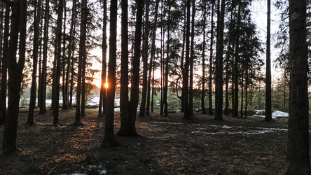 Similar image 22582206