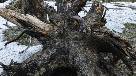 Similar image 22582207