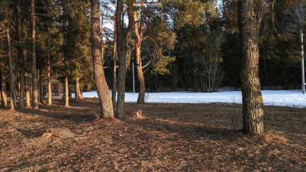 Similar image 22582208