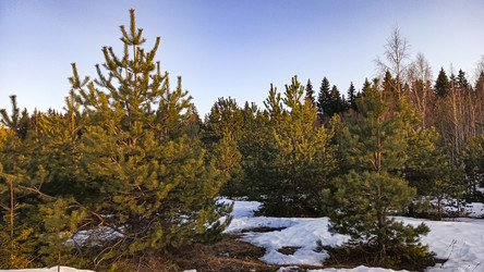 Similar image 22582209