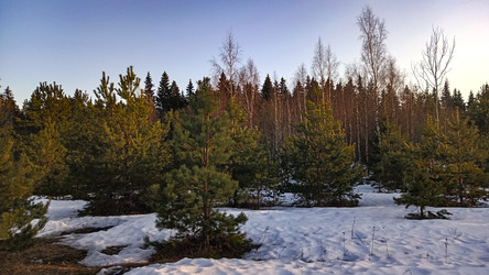 Similar image 22582211