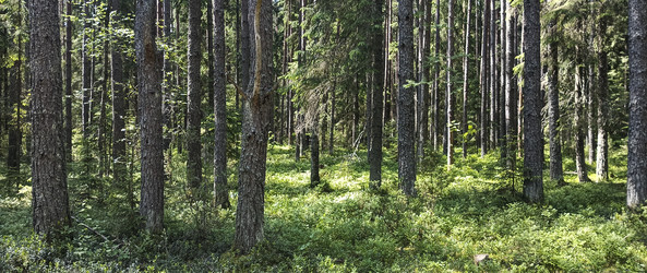 Similar image 22582212