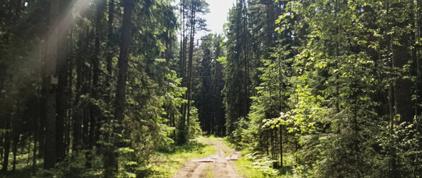 Similar image 22582213