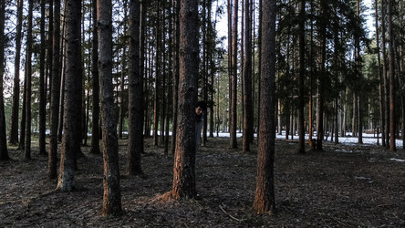 Similar image 22582214