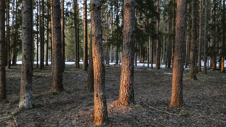 Similar image 22582215