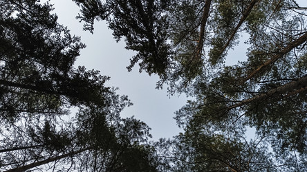 Similar image 22582216