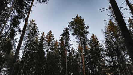 Similar image 22582217